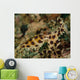 Blue-ringed Octopus Lembeh Strait Wall Decal
