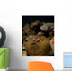 Anemonefish Their Host Anemone Wall Decal