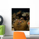 Anemonefish Their Host Anemone Wall Decal