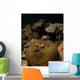 Anemonefish Their Host Anemone Wall Decal