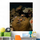 Anemonefish Their Host Anemone Wall Decal