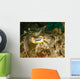 Close-up Cuttlefish Eye Manado Wall Decal