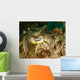 Close-up Cuttlefish Eye Manado Wall Decal