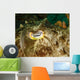 Close-up Cuttlefish Eye Manado Wall Decal