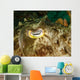 Close-up Cuttlefish Eye Manado Wall Decal