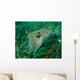 Golden Cuttlefish Lembeh Strait Wall Decal