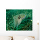 Golden Cuttlefish Lembeh Strait Wall Decal