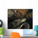 Green Turtle Bunaken Marine Wall Decal Design 5