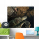 Green Turtle Bunaken Marine Wall Decal Design 5