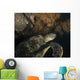 Green Turtle Bunaken Marine Wall Decal Design 5