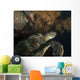 Green Turtle Bunaken Marine Wall Decal Design 5