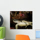 Green Turtle Bunaken Marine Wall Decal Design 4