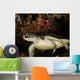 Green Turtle Bunaken Marine Wall Decal Design 4