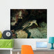 Green Turtle Bunaken Marine Wall Decal Design 3