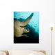 Green Turtle Bunaken Marine Wall Decal Design 2