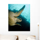 Green Turtle Bunaken Marine Wall Decal Design 2