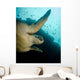 Green Turtle Bunaken Marine Wall Decal Design 2