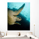 Green Turtle Bunaken Marine Wall Decal Design 2