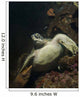 Green Turtle Bunaken Marine Wall Decal Design 1