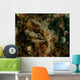Decorator Crab Lembeh Strait Wall Decal