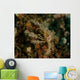 Decorator Crab Lembeh Strait Wall Decal