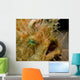 Hairy Frogfish Lembeh Strait Wall Decal