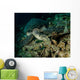 Hawksbill Sea Turtle Feeding Wall Decal