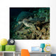Hawksbill Sea Turtle Feeding Wall Decal