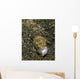 Lizardfish Feeding Fish Lembeh Wall Decal Design 2