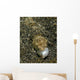 Lizardfish Feeding Fish Lembeh Wall Decal Design 2