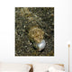 Lizardfish Feeding Fish Lembeh Wall Decal Design 2