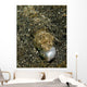 Lizardfish Feeding Fish Lembeh Wall Decal Design 2
