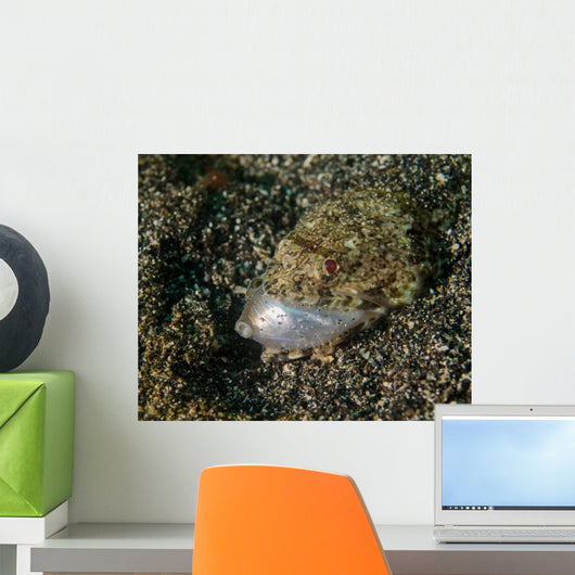 Lizardfish Feeding Fish Lembeh Wall Decal Design 1