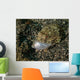 Lizardfish Feeding Fish Lembeh Wall Decal Design 1