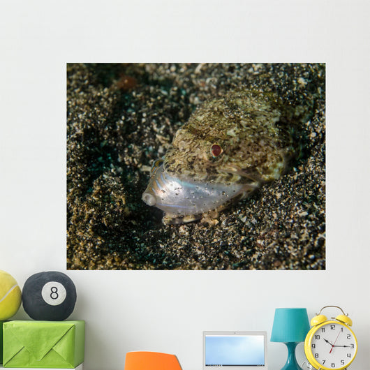 Lizardfish Feeding Fish Lembeh Wall Decal Design 1
