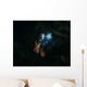 Pair Mandarinfish Spawning Wall Decal