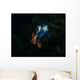 Pair Mandarinfish Spawning Wall Decal