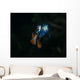 Pair Mandarinfish Spawning Wall Decal