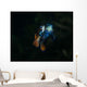 Pair Mandarinfish Spawning Wall Decal