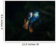 Pair Mandarinfish Spawning Wall Decal