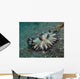 Brown and White Nudibranch Wall Decal