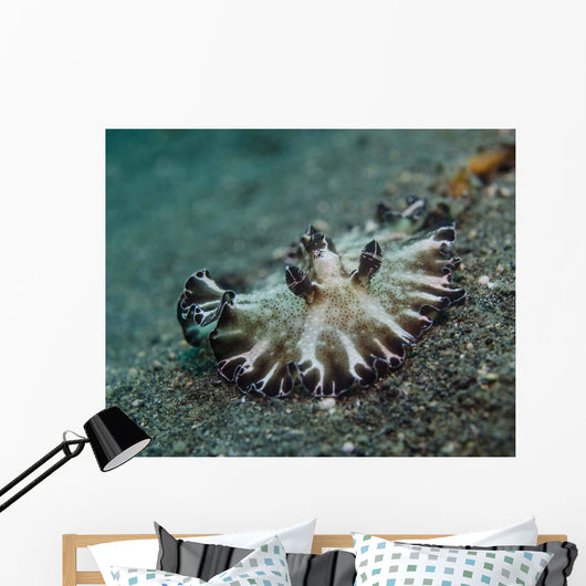 Brown and White Nudibranch Wall Decal