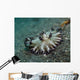 Brown and White Nudibranch Wall Decal