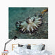 Brown and White Nudibranch Wall Decal
