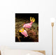 Pair Pink Nudibranchs Lembeh Wall Decal