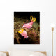 Pair Pink Nudibranchs Lembeh Wall Decal