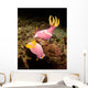 Pair Pink Nudibranchs Lembeh Wall Decal