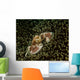 Porcelain Crab Anemone Lembeh Wall Decal
