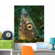 Close-up Blacksaddle Snake Eel Wall Decal