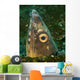 Close-up Blacksaddle Snake Eel Wall Decal